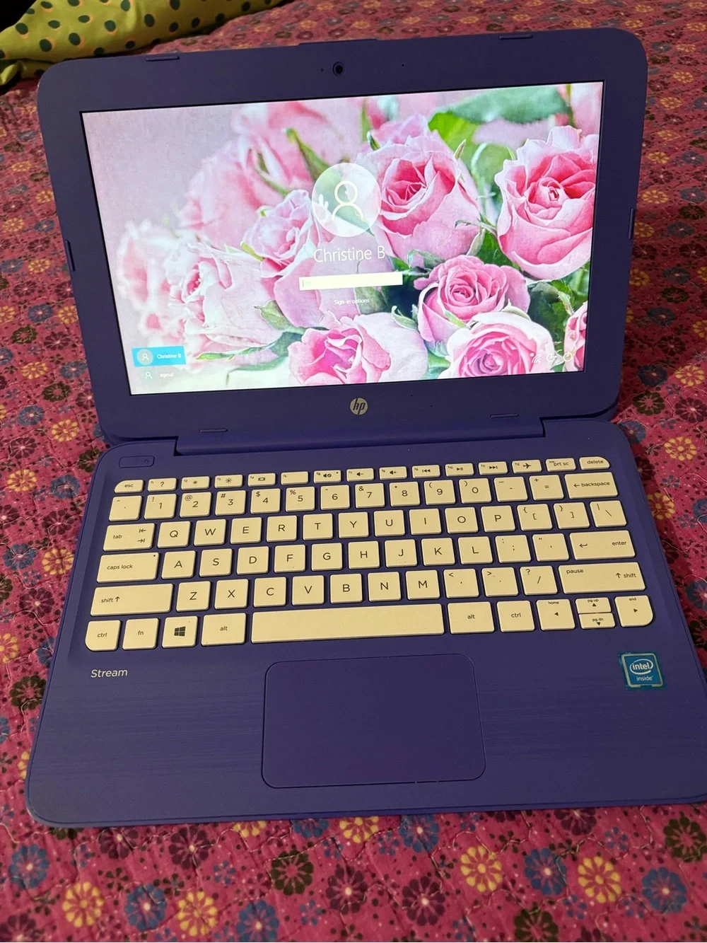 2016 HP Stream Purple Laptop 11.6 inch Screen LOCKED Charger included 🔌